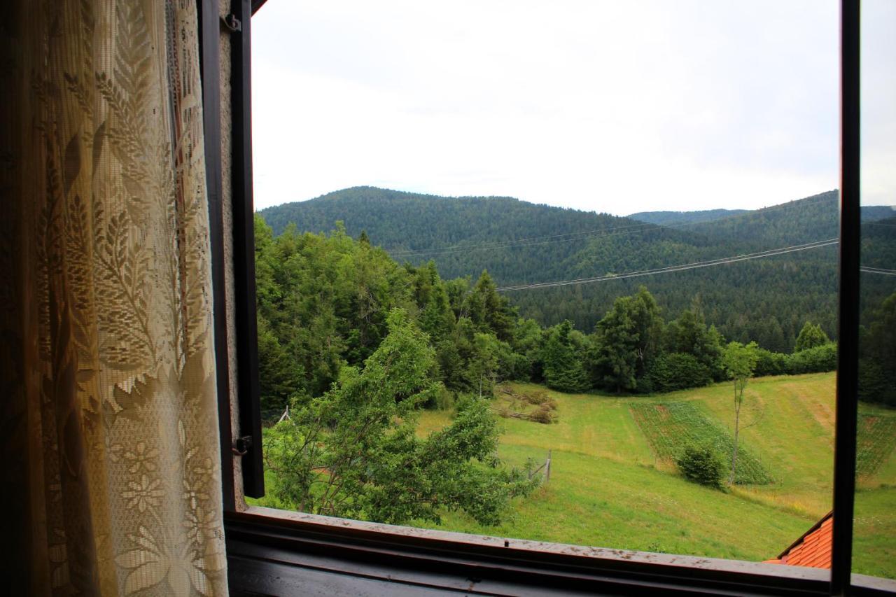 Vila Kuca Za Odmor Cicki Vrh Brestova Draga Exteriér fotografie